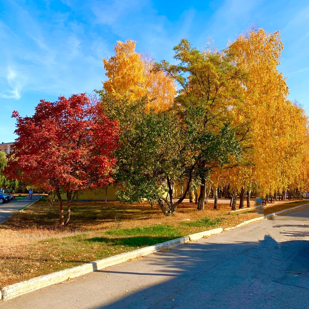 Фотоконкурс «Краски осени» Фото 1