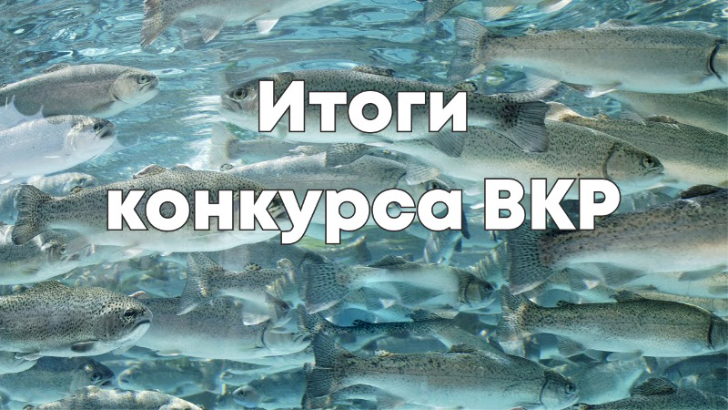 Выпускники ФВМПиБ - победители конкурса ВКР