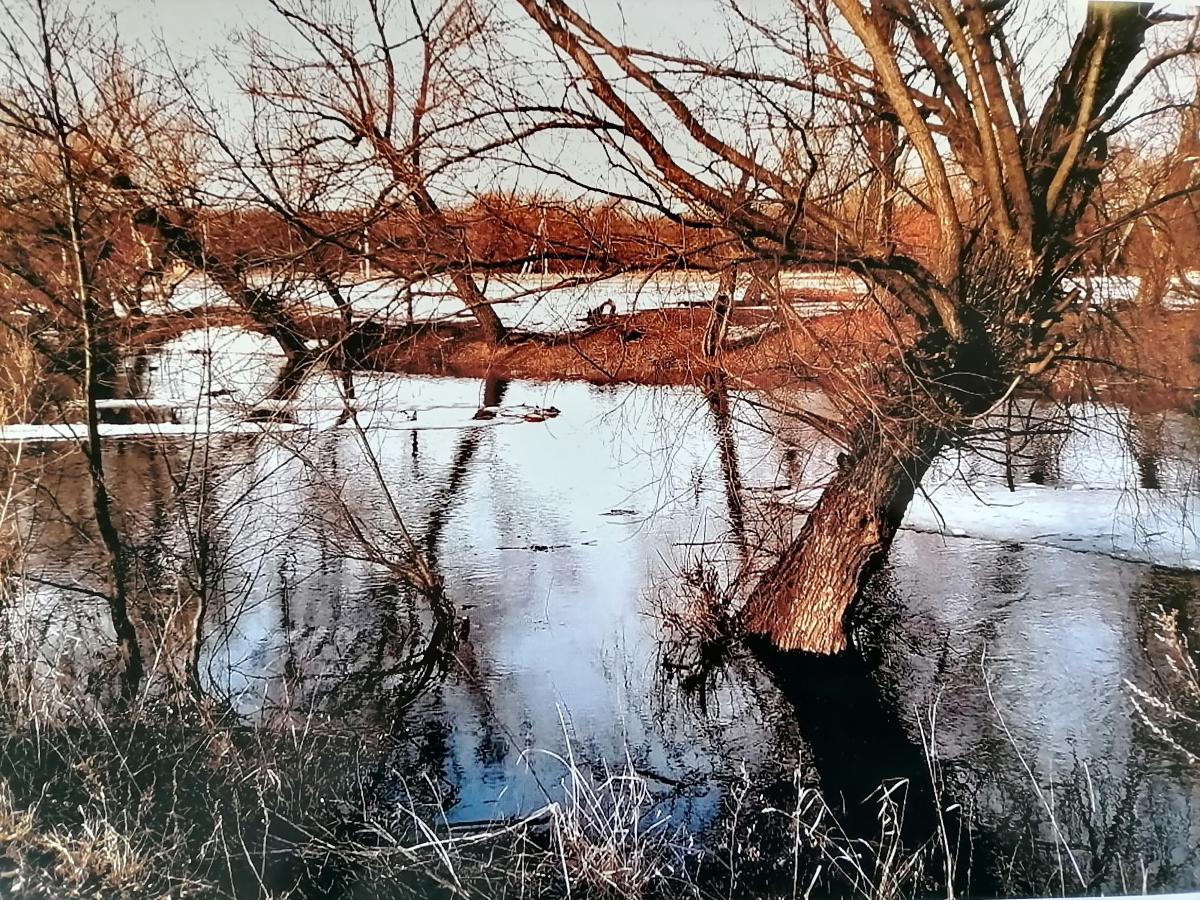 Итоги II Регионального заочного конкурса фоторабот «Весенние краски природы» Фото 11