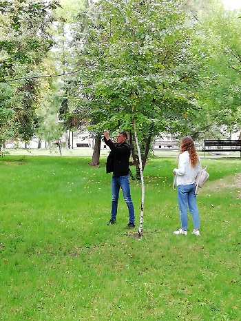 Лабораторное занятие по дисциплине 