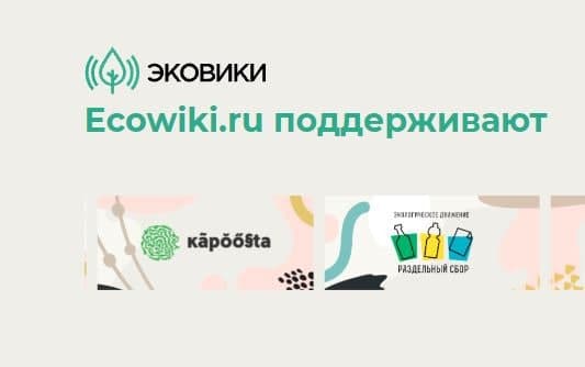 Саратовцев приглашают к участию в образовательных экоакциях