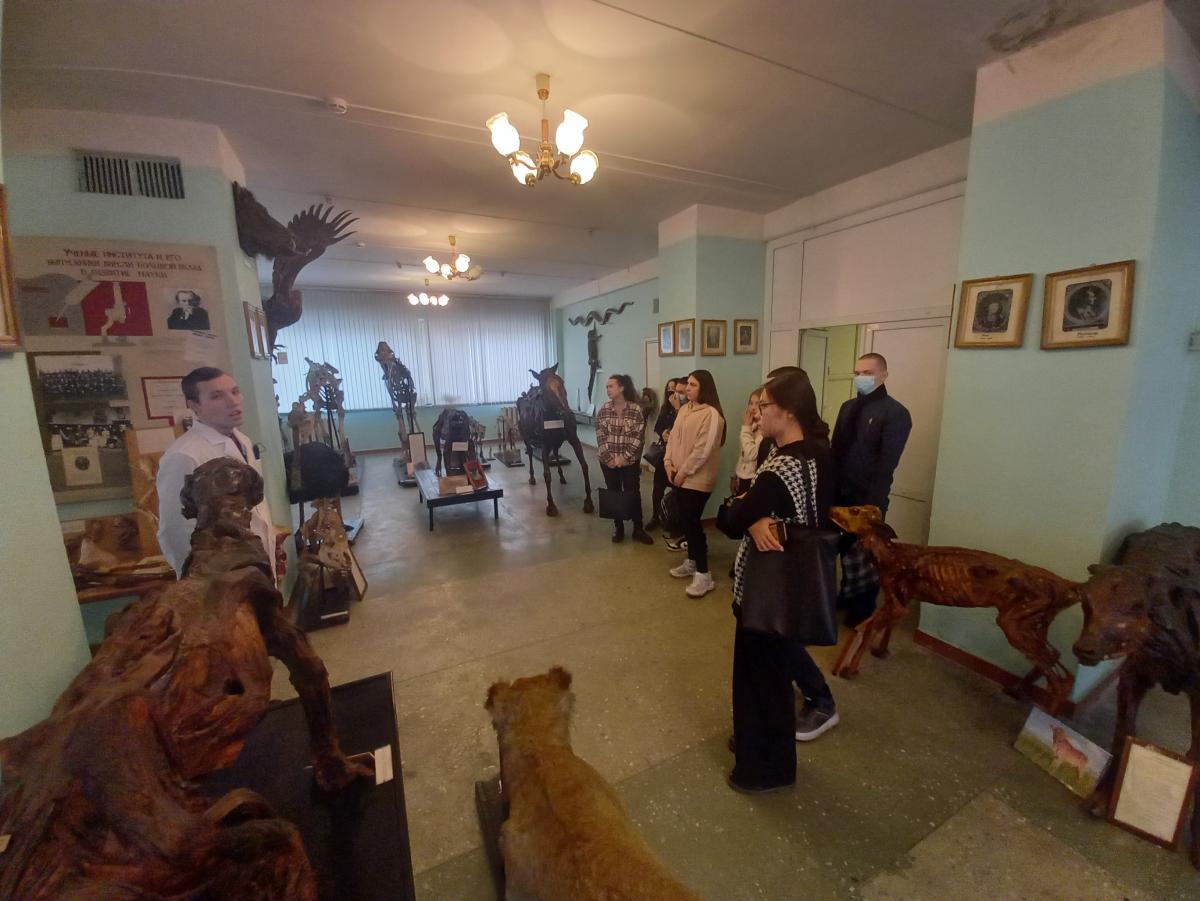 Кураторский час в музее Фото 1