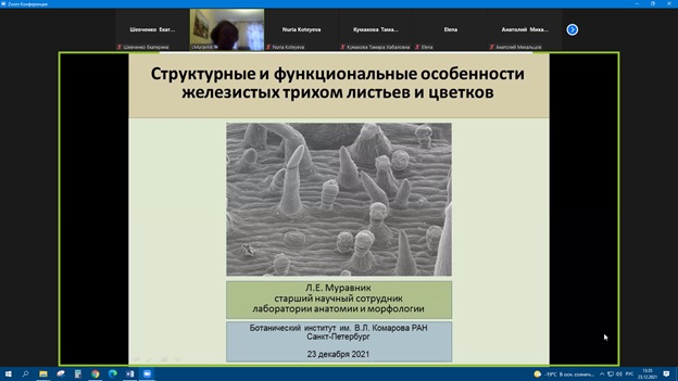 Участие в семинарах секций анатомии растений Русского Ботанического Общества Фото 13