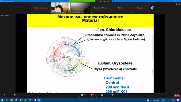 Участие в семинарах секций анатомии растений Русского Ботанического Общества Фото 2