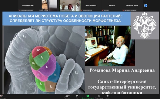 Участие в семинарах секций анатомии растений Русского Ботанического Общества Фото 10