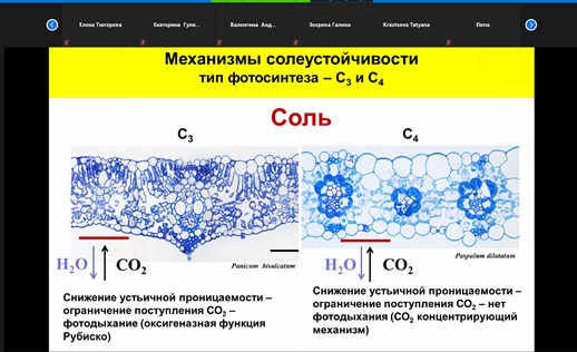 Участие в семинарах секций анатомии растений Русского Ботанического Общества