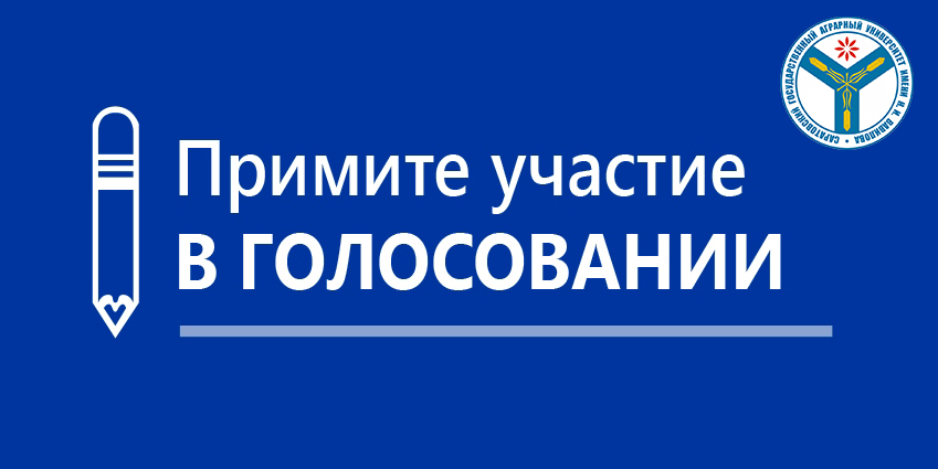 Открыто голосование в конкурсе проектов Росмолодёжи