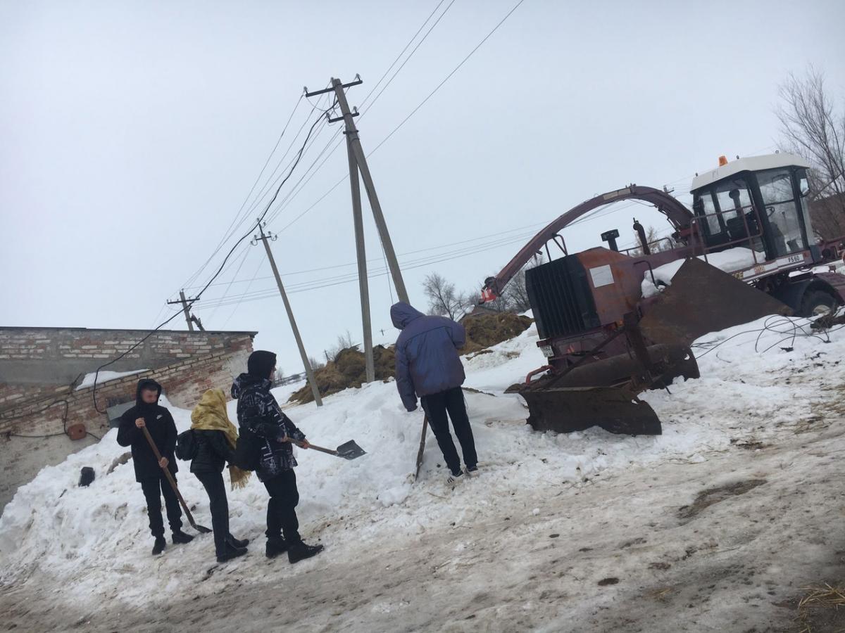 «День российских студенческих отрядов» Фото 1