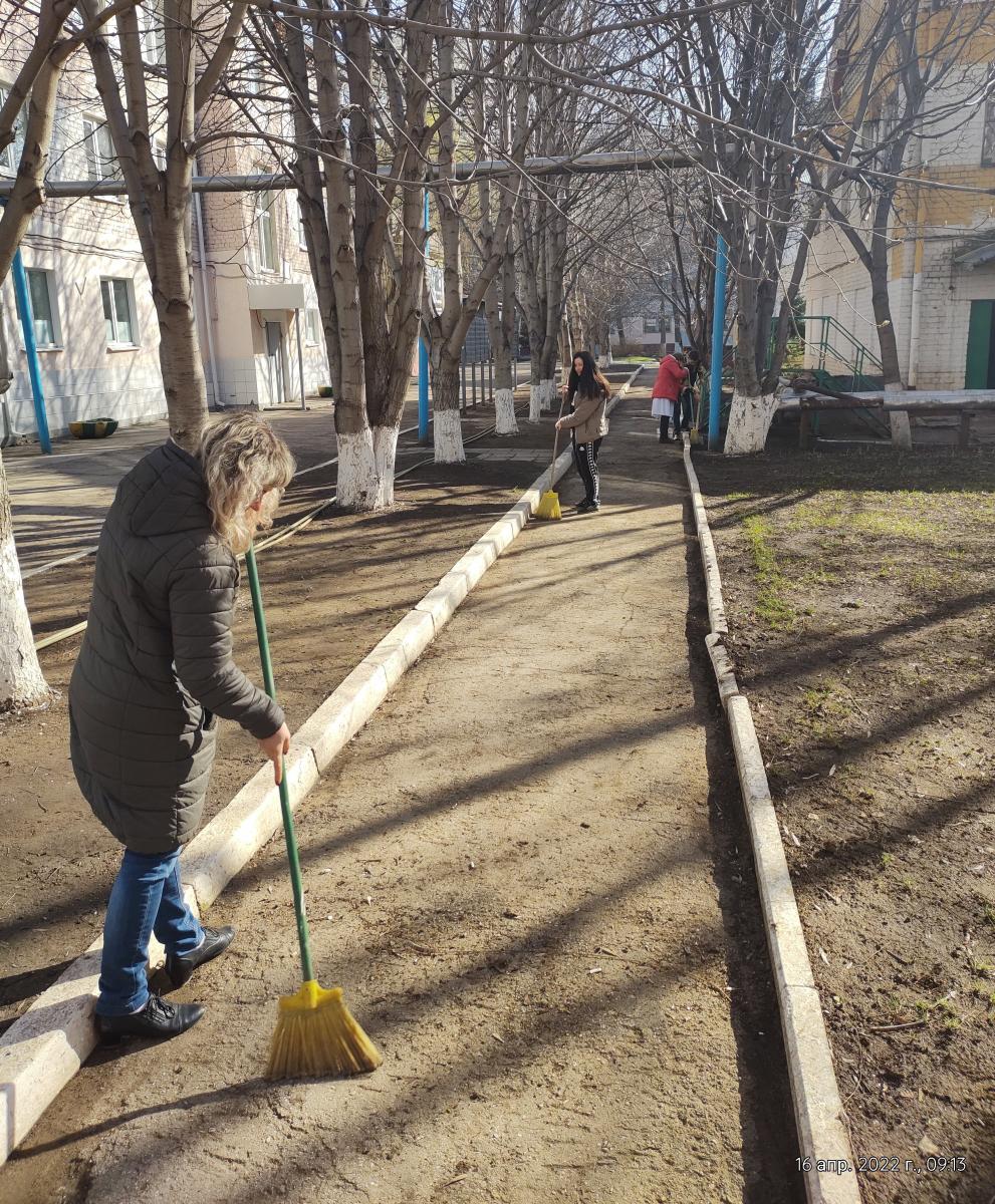 Коллектив кафедры «Морфология, патология животных и биология» на субботнике Фото 3