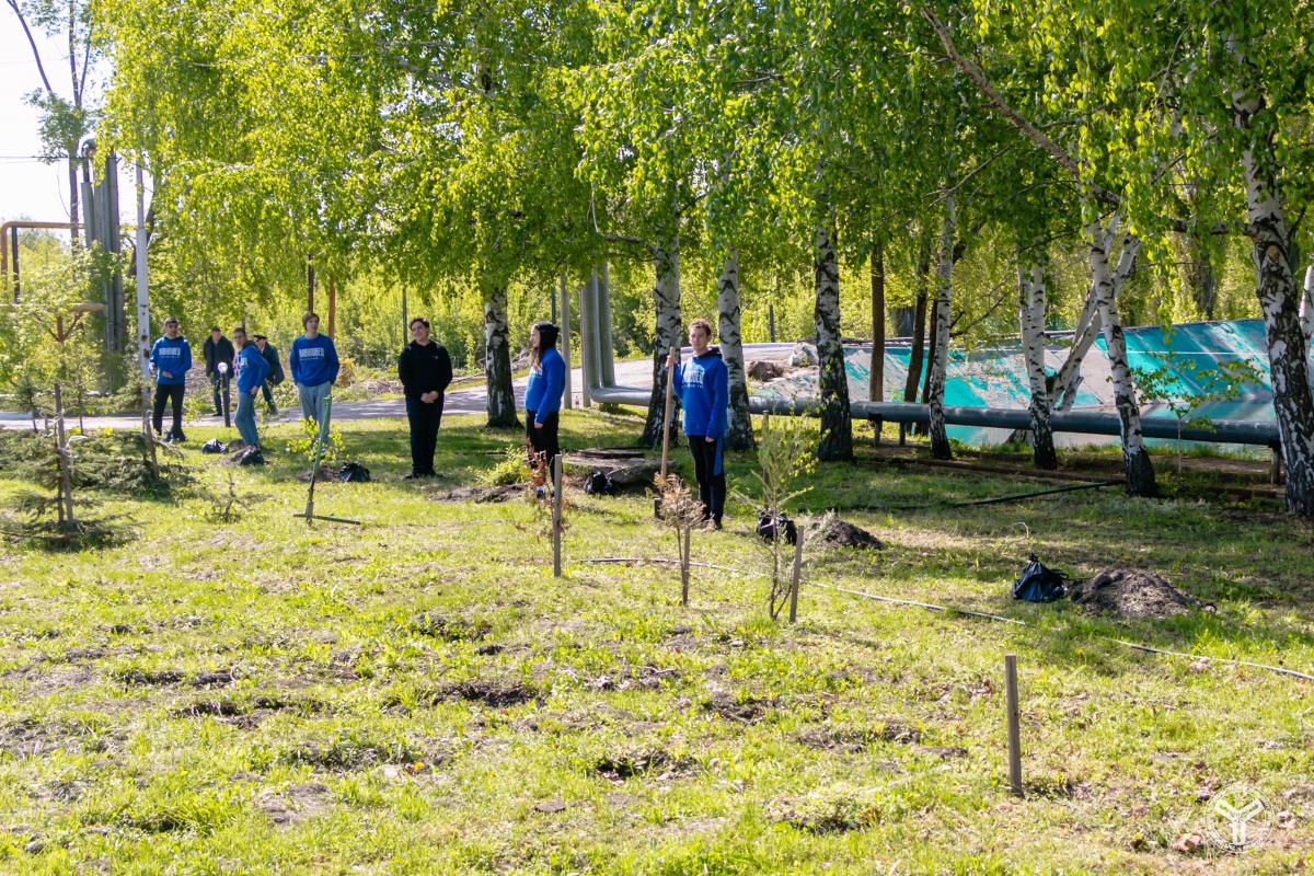 В УНПК «Агроцентр» СГАУ заложена «Аллея ветеранов» Фото 3
