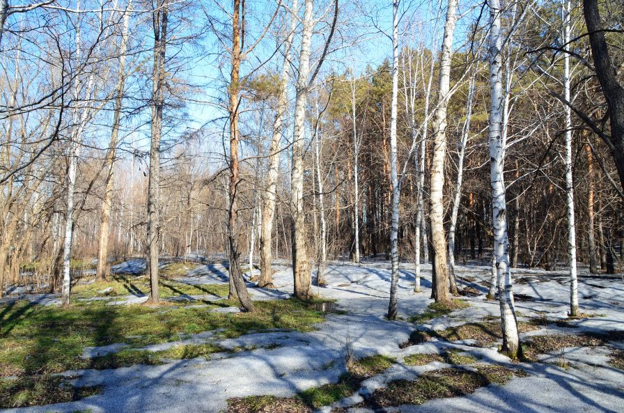 Итоги III Регионального заочного конкурса фоторабот «Весенние краски природы» Фото 1