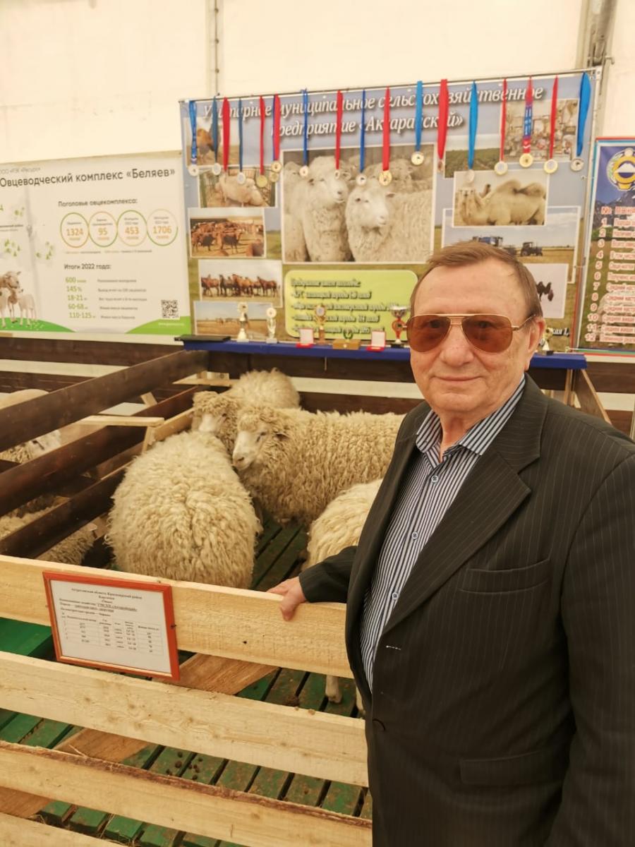 XXII Российская выставка племенных овец и коз в Волгоградском ГАУ Фото 2