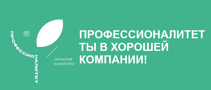 Япроф рф. Профессионалитет логотип. Профессионалитет педагогика. Профессионалитет брендбук. Отрасли проекта профессионалитет.