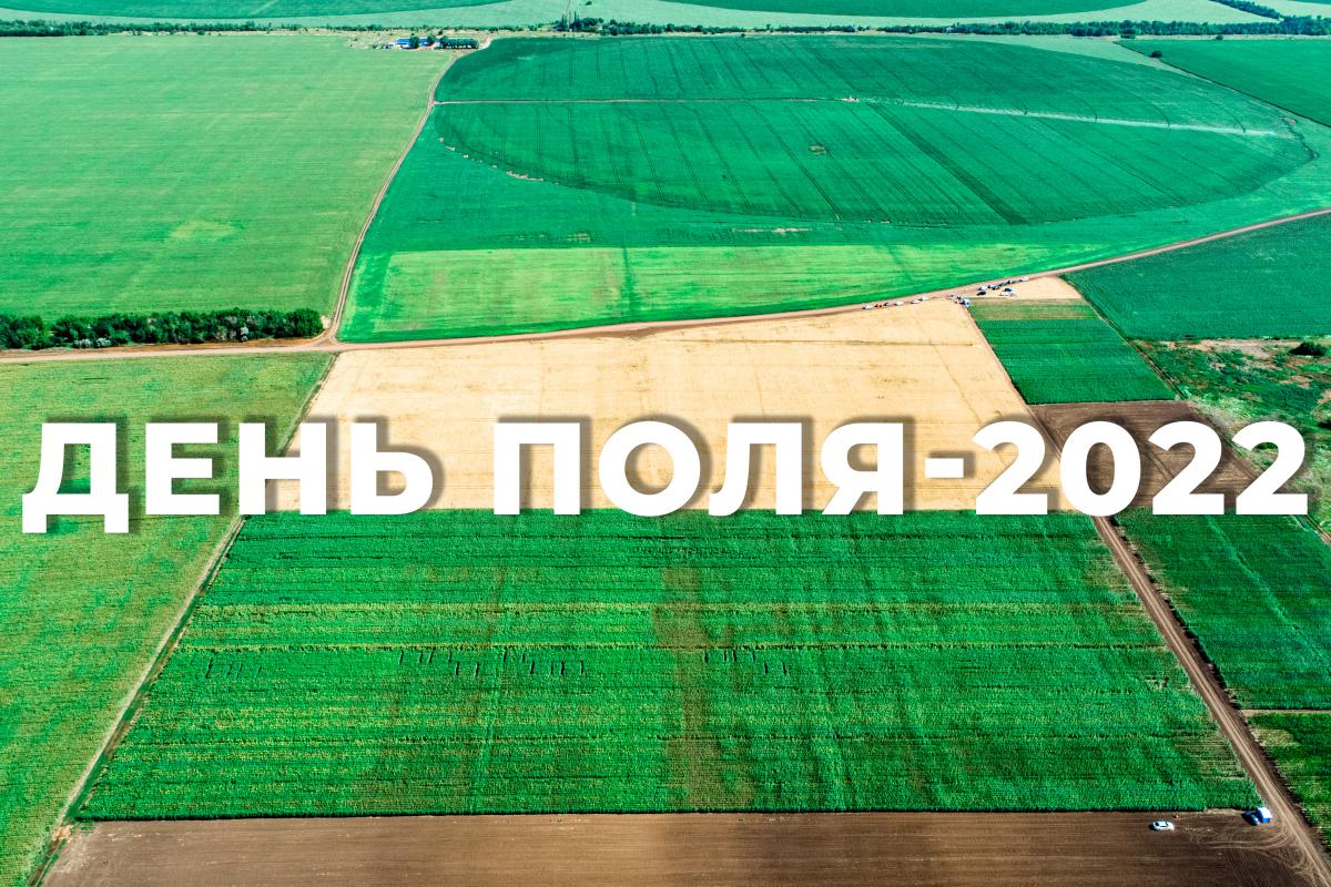 В УНПО «Поволжье» пройдет «День поля СГАУ–2022»