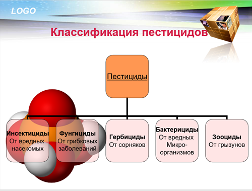 Научно-практическая конференция на тему «Я будущий Агроном» Фото 1