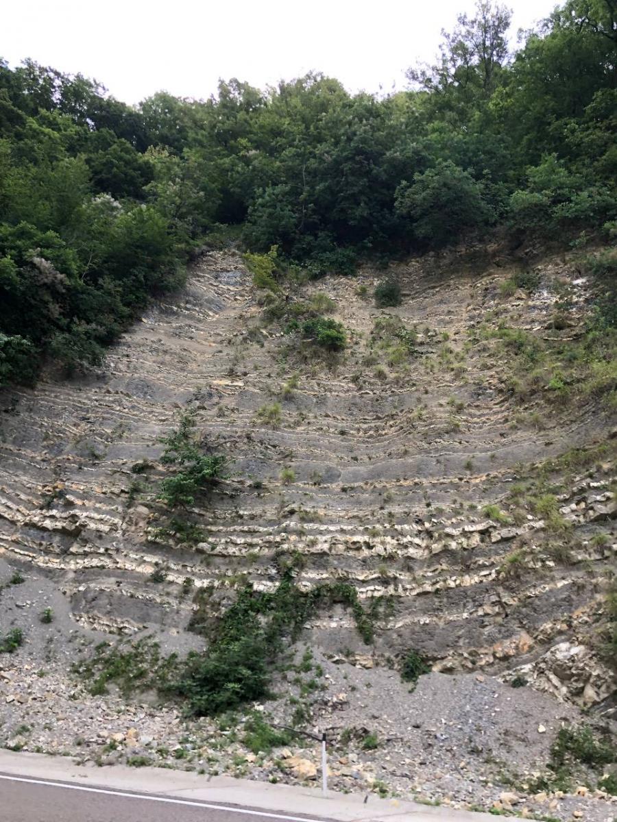 Итоги Регионального заочного конкурса фоторабот «ЛЕС И ЧЕЛОВЕК», посвященном 100-летию подготовки кадров для лесной отрасли в университете Фото 6