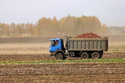 В области обмолочено 90% площадей зерновых культур