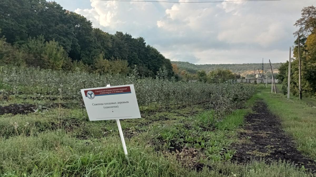 Представители ФИиП провели серию выездных производственных совещаний в подразделениях университета Фото 4