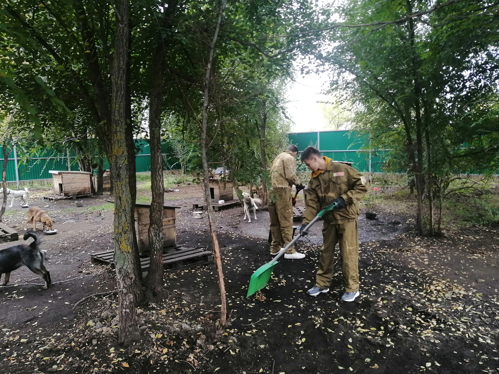 Волонтерский субботник в приюте Фото 2