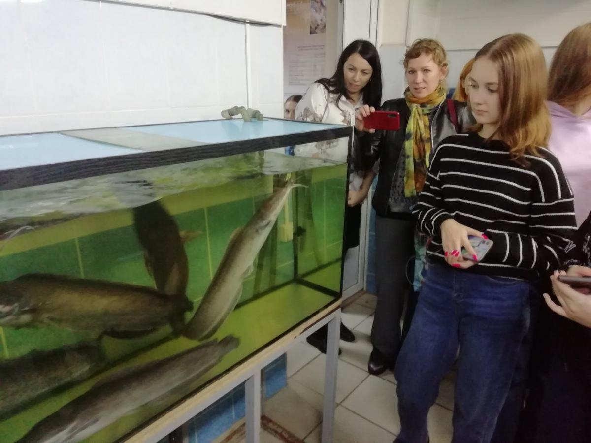 Агроклассники Пугачева посетили с экскурсией университет Фото 5