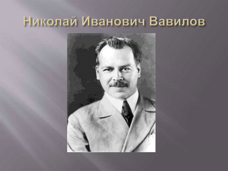 Николай Иванович Вавилов: феномен ученого, человека, гуманиста. Фото 7