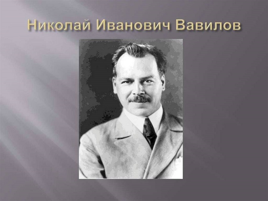 Николай Иванович Вавилов: феномен ученого, человека, гуманиста.