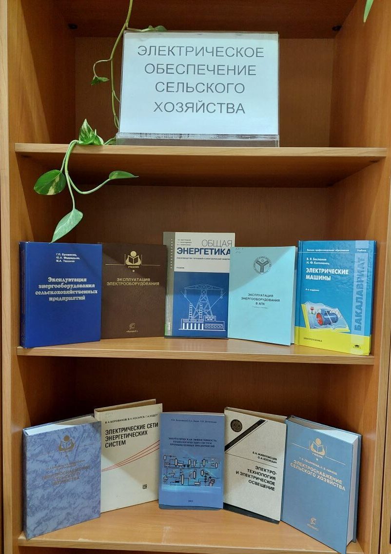 «Электрическое обеспечение сельского хозяйства» (22 декабря – День энергетика) Фото 2