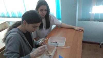 Мастер-класс «Ветеринария на столе у домохозяйки»  в агроклассах г. Балаково