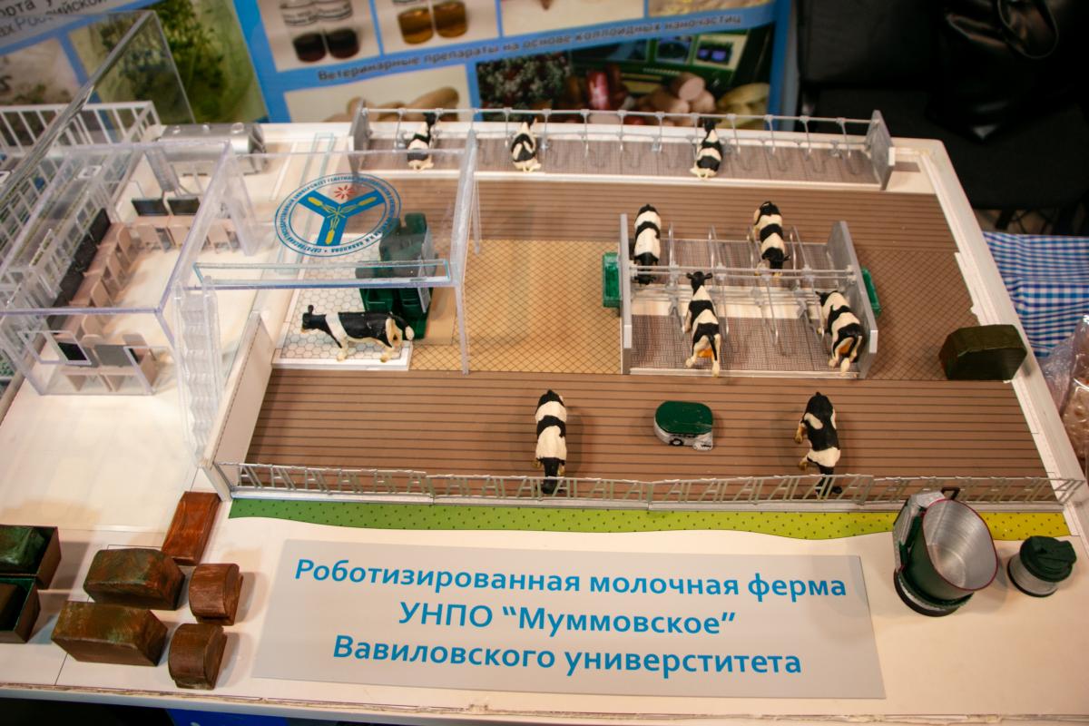 Вавиловский университет - участник форума «Саратов-Агро.2023» Фото 4