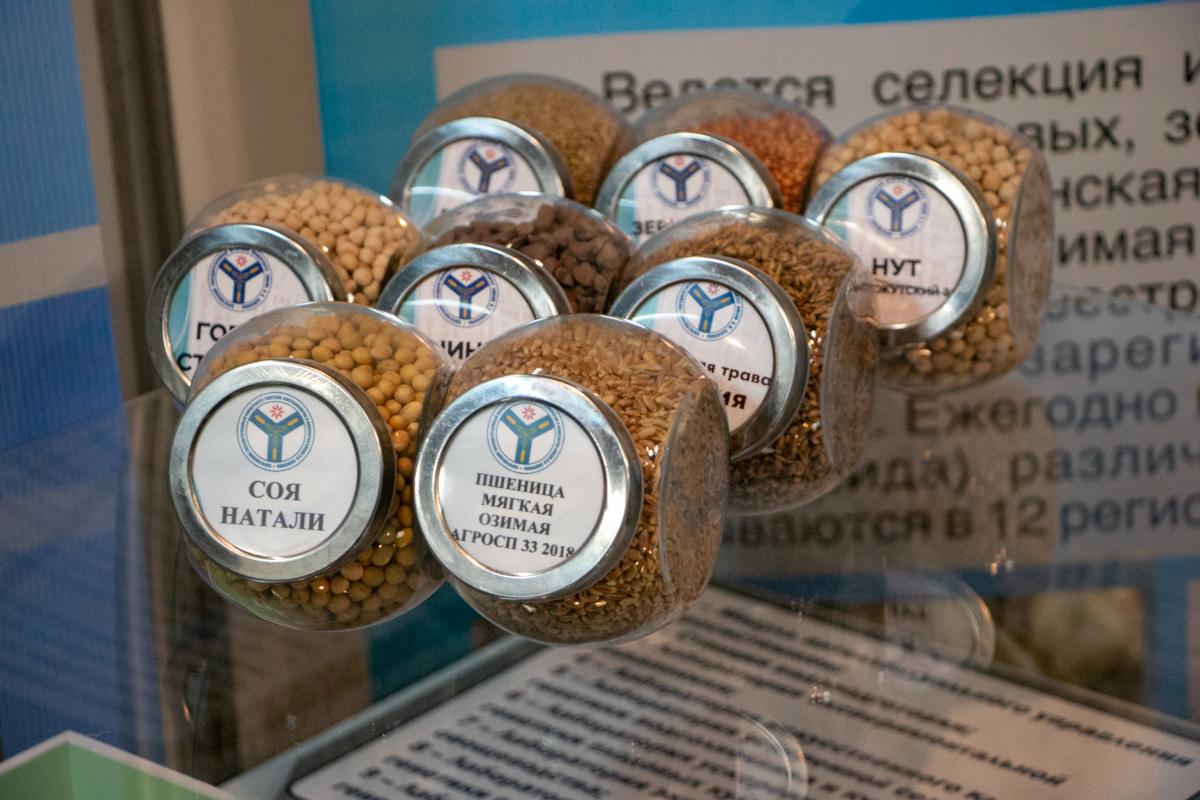 Вавиловский университет - участник форума «Саратов-Агро.2023» Фото 5