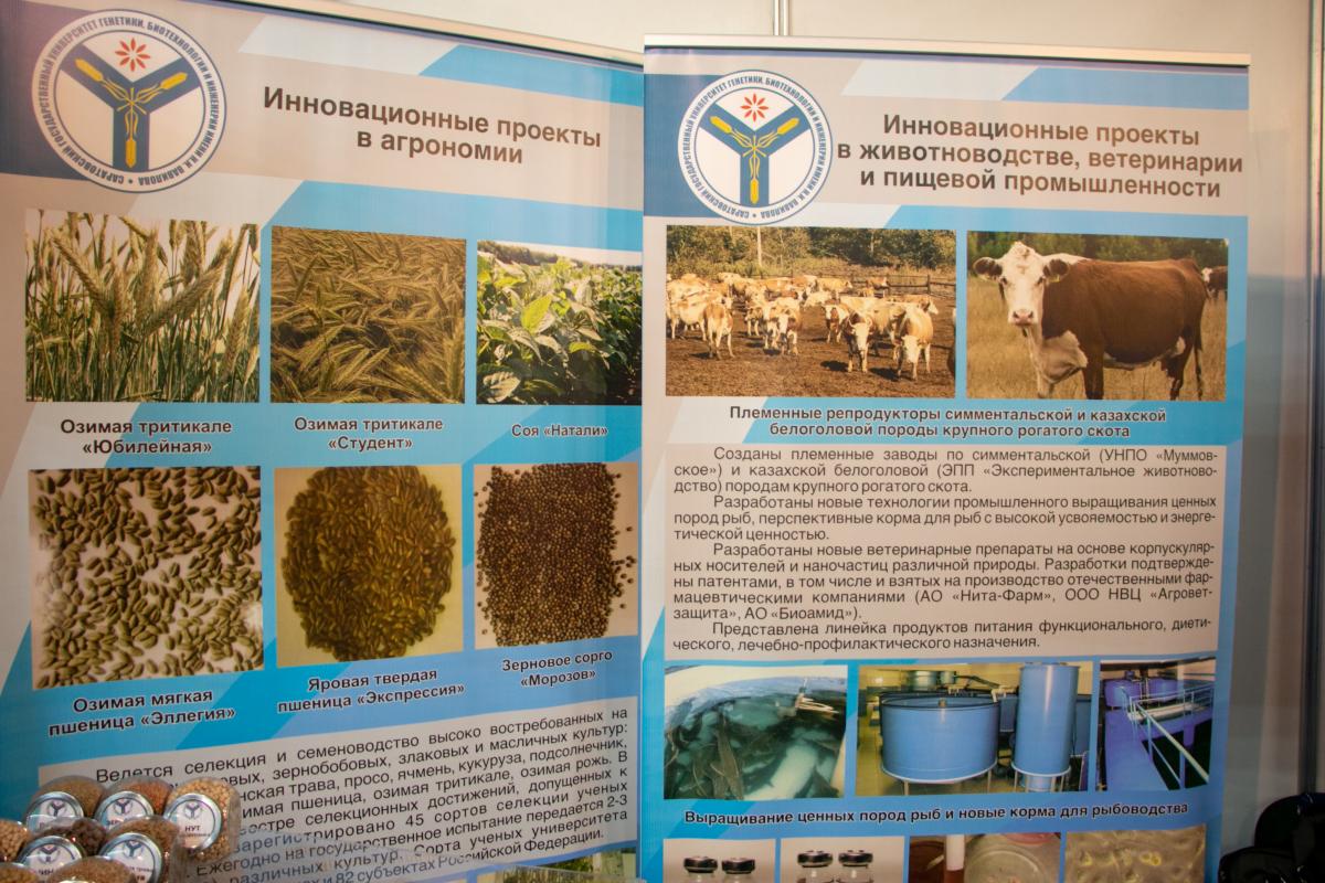 Вавиловский университет - участник форума «Саратов-Агро.2023» Фото 6