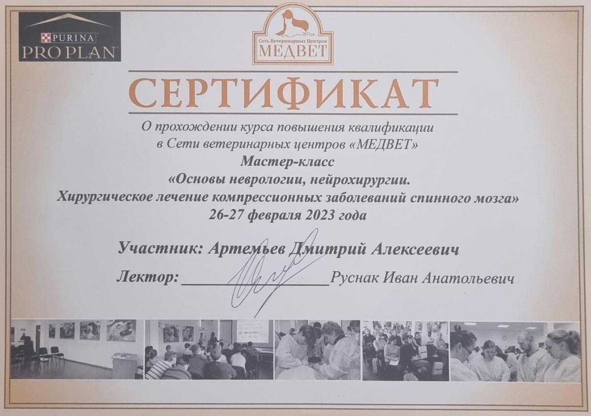 Мастер-класс в образовательном центре МЕДВЕТ (г. Москва)