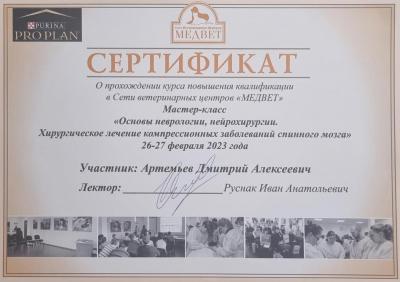 Мастер-класс в образовательном центре МЕДВЕТ (г. Москва)