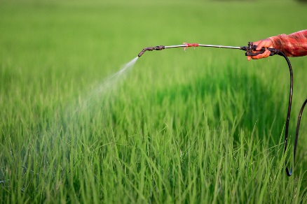 Санитарно-гигиенические требования и безопасное применение пестицидов и агрохимикатов в сельскохозяйственных работах