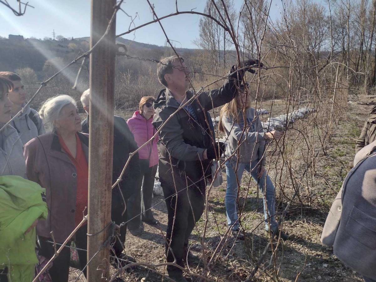 Ученые вуза провели семинар по формированию и обрезке деревьев Фото 3