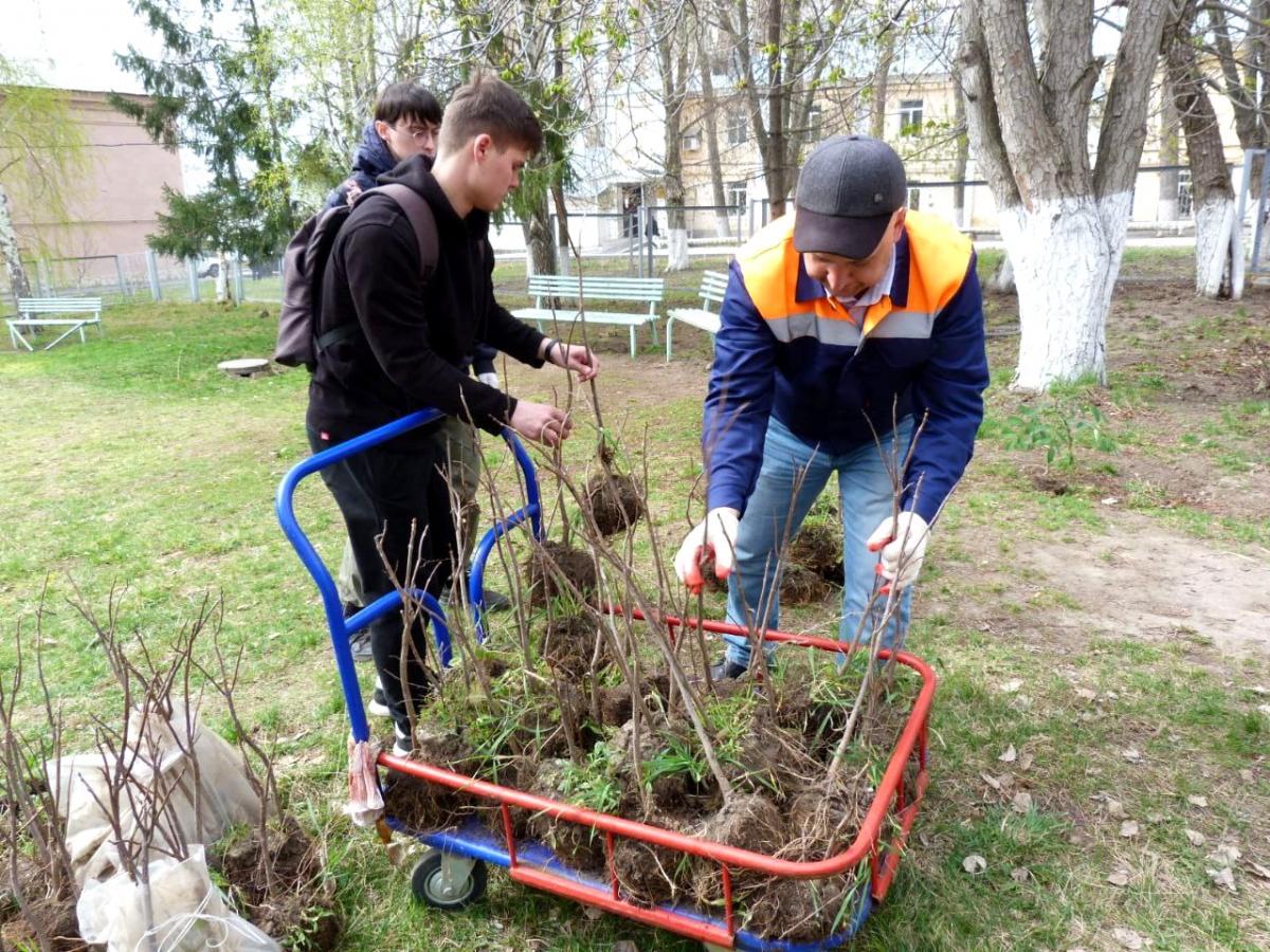 День космонавтики и озеленение территории – два праздника в одном! Фото 1