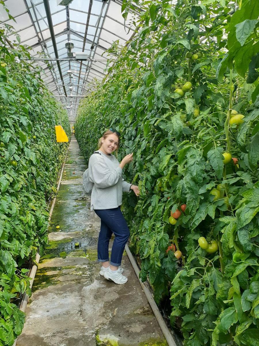 38.03.06 Торговое дело, профиль «Маркетинг и рыночная аналитика в АПК». Фото 3