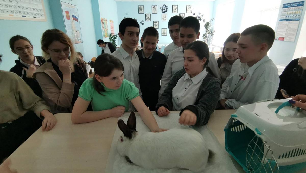 Профориентация в школах Ершовского района Фото 1