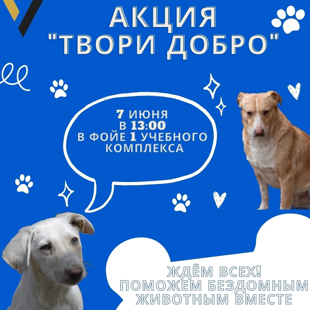 Акция 