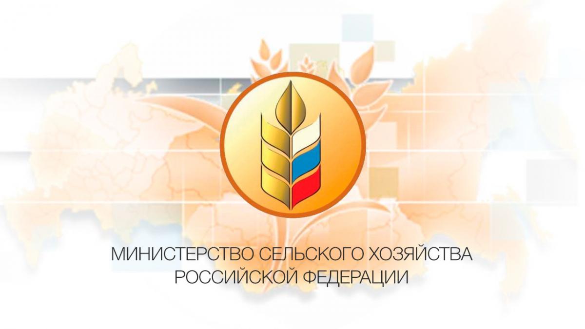 Призеры Всероссийского конкурса
