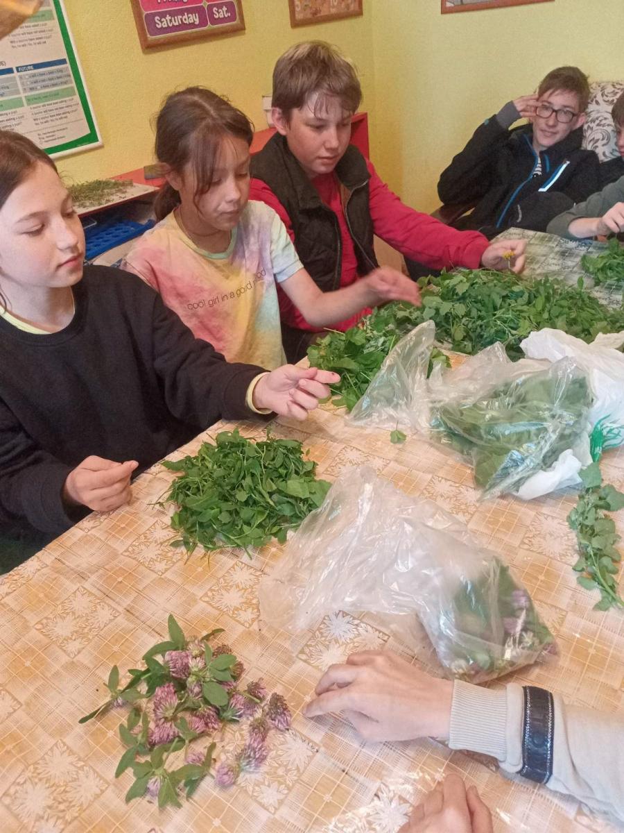 Мастер-класс «Кухня Робинзона» для школьников 2–7 классов из Православно-исторического лагеря «Родник» Фото 7