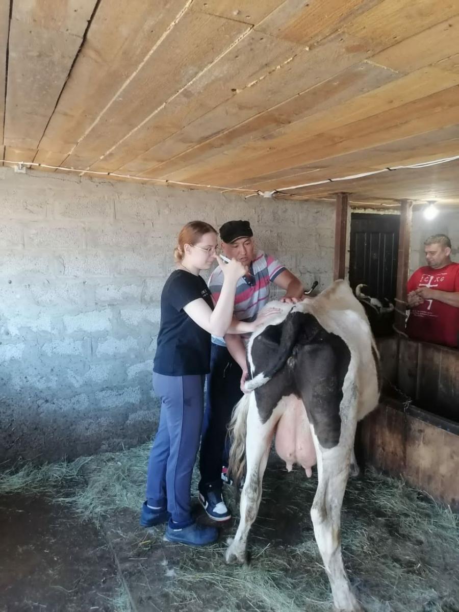 Завершение производственной практики  у обучающихся 2 курса специальности 36.02.01 Ветеринария ФП «ПРОФЕССИОНАЛИТЕТ» Фото 5