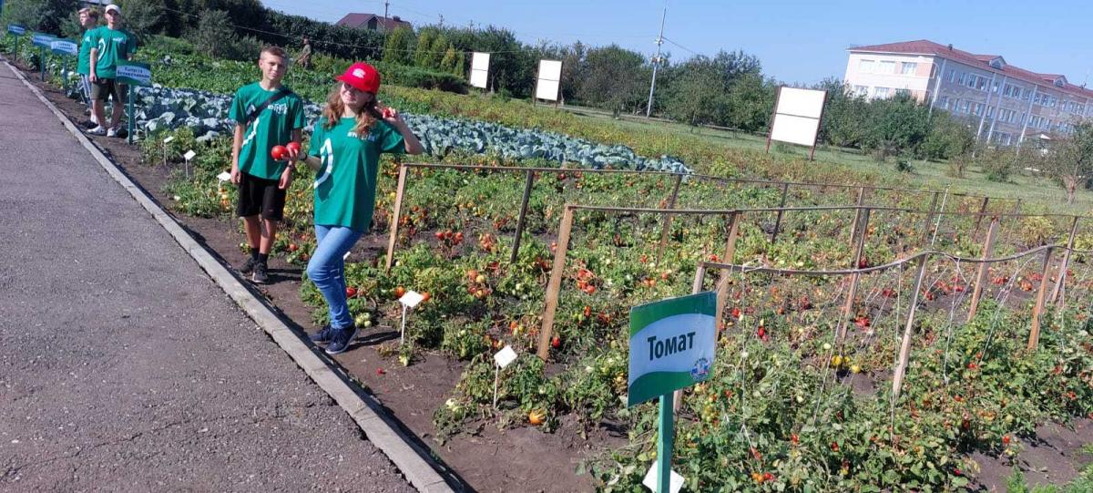 Представители вуза приняли участие в Форуме агрошкол России Фото 2