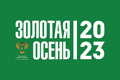 Выставка «Золотая осень-2023» пройдет в Тимирязевской академии