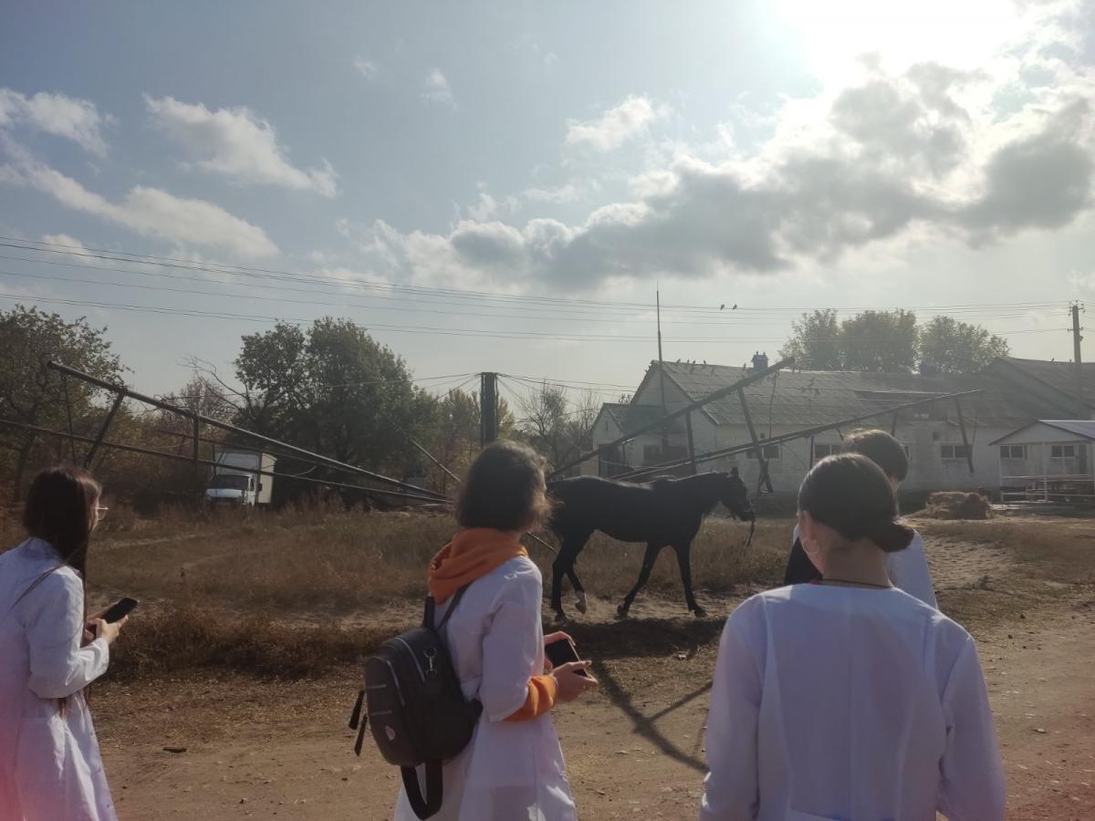 Практическое занятие Фото 6