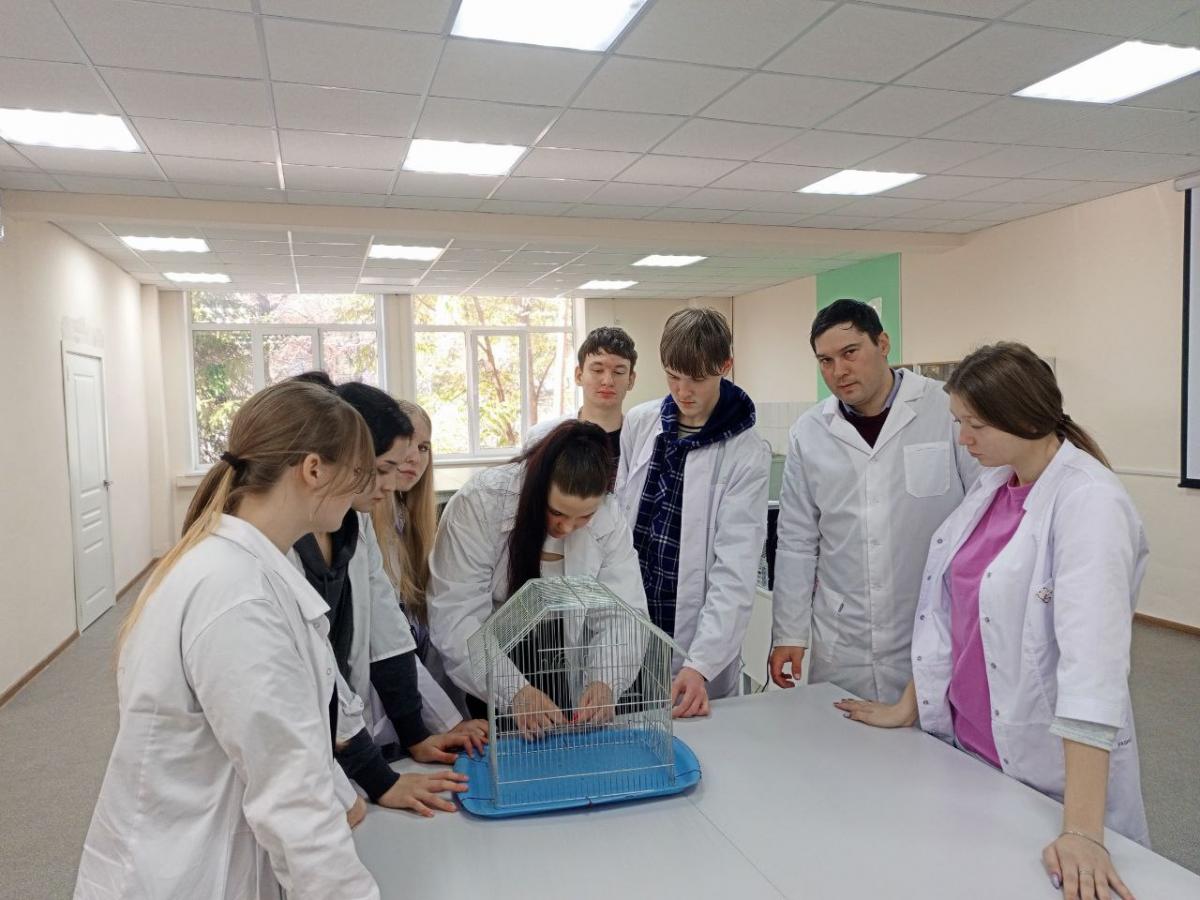 Практическое занятие на тему «Уход за больными и лабораторными животными» Фото 1