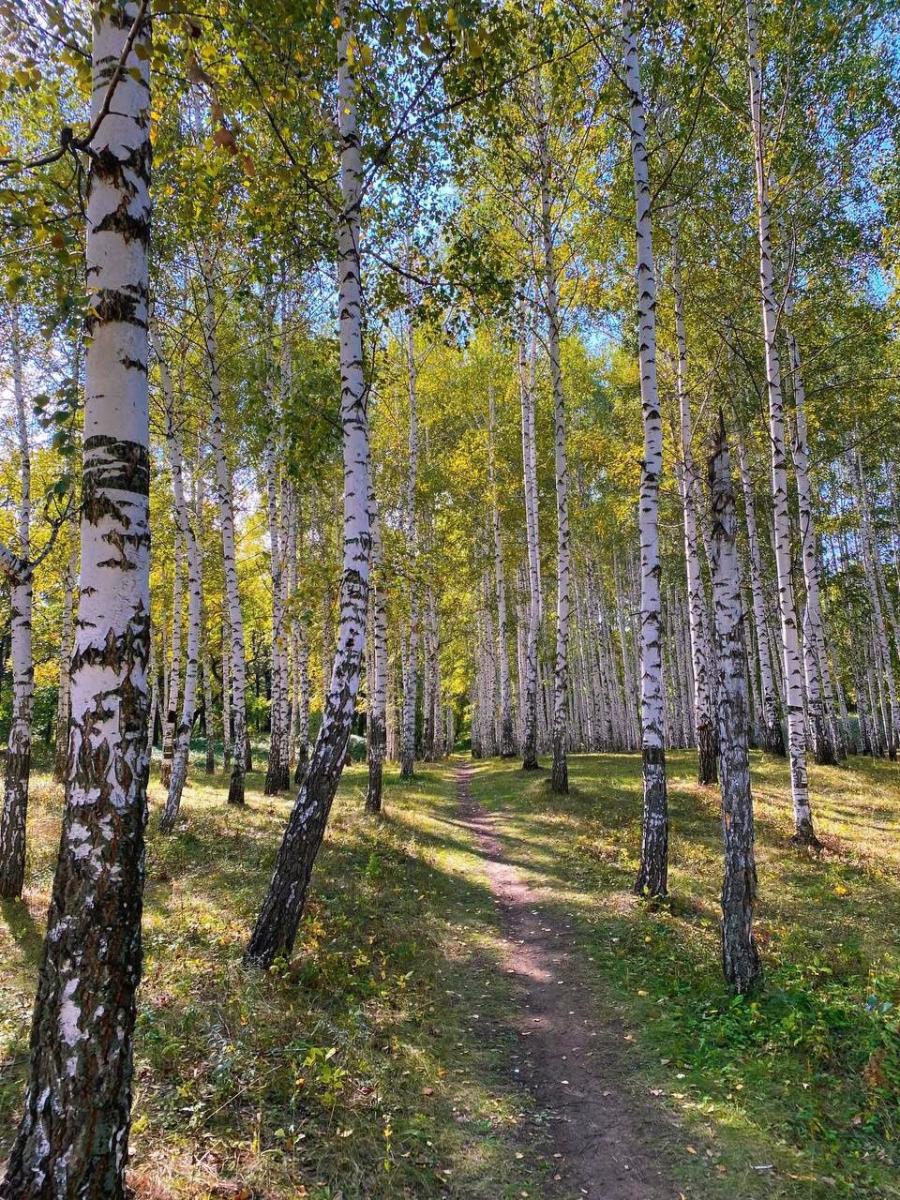 Итоги Регионального заочного фотоконкурса «Ландшафты в осенней палитре» Фото 11