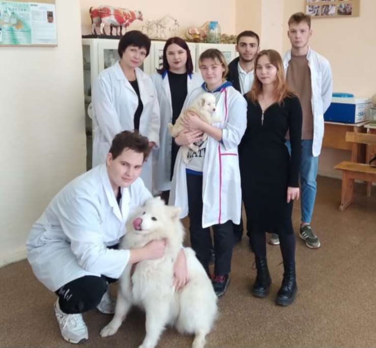 Чевствуем победителей и участников предметно - профессиональной недели по ветеринарии Фото 6