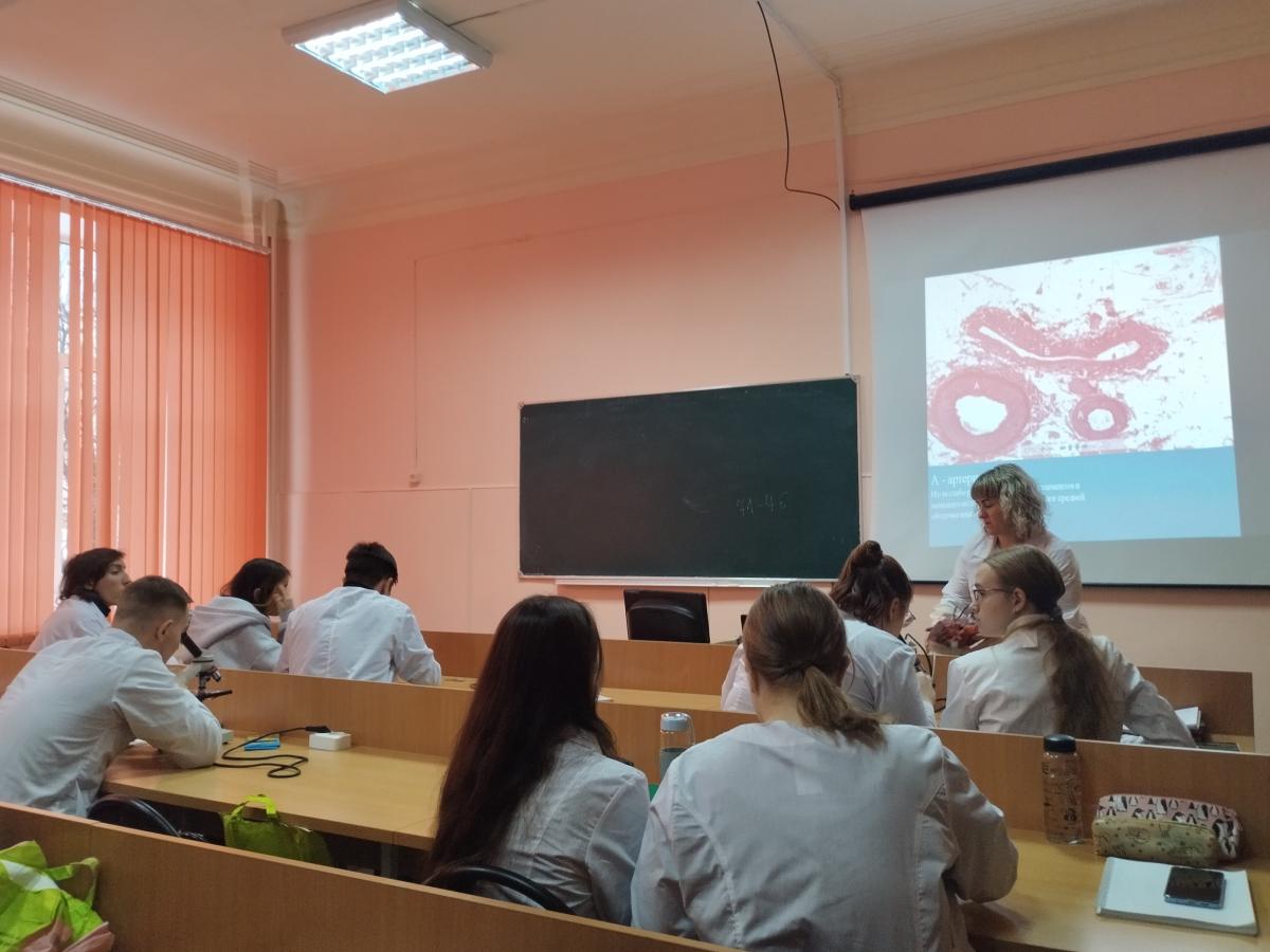 Практическое занятие на базе анатомического музея факультета ветеринарной медицины, пищевых и биотехнологий Вавиловский университет Фото 1