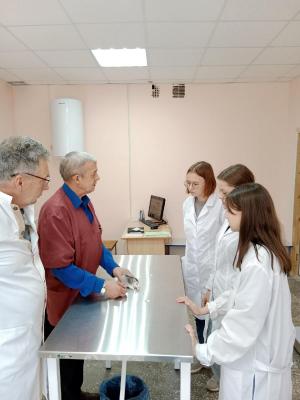 Клинический осмотр крысы